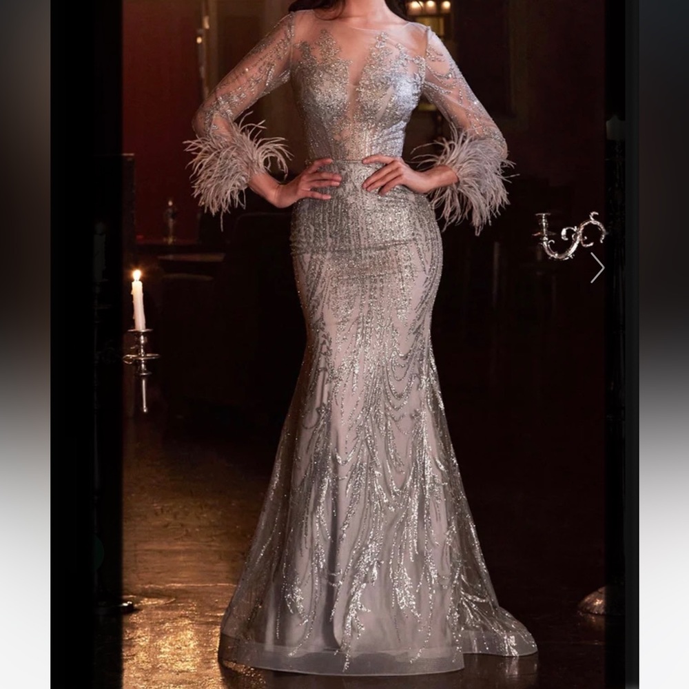 CINDERELLA DIVINE Fitted Long Glitter Evening Dress With Feathers Sleeves - Picture 2 of 16
